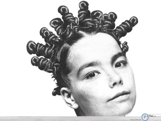 bjork-spiral-hair-wallpaper-hair-1981745291