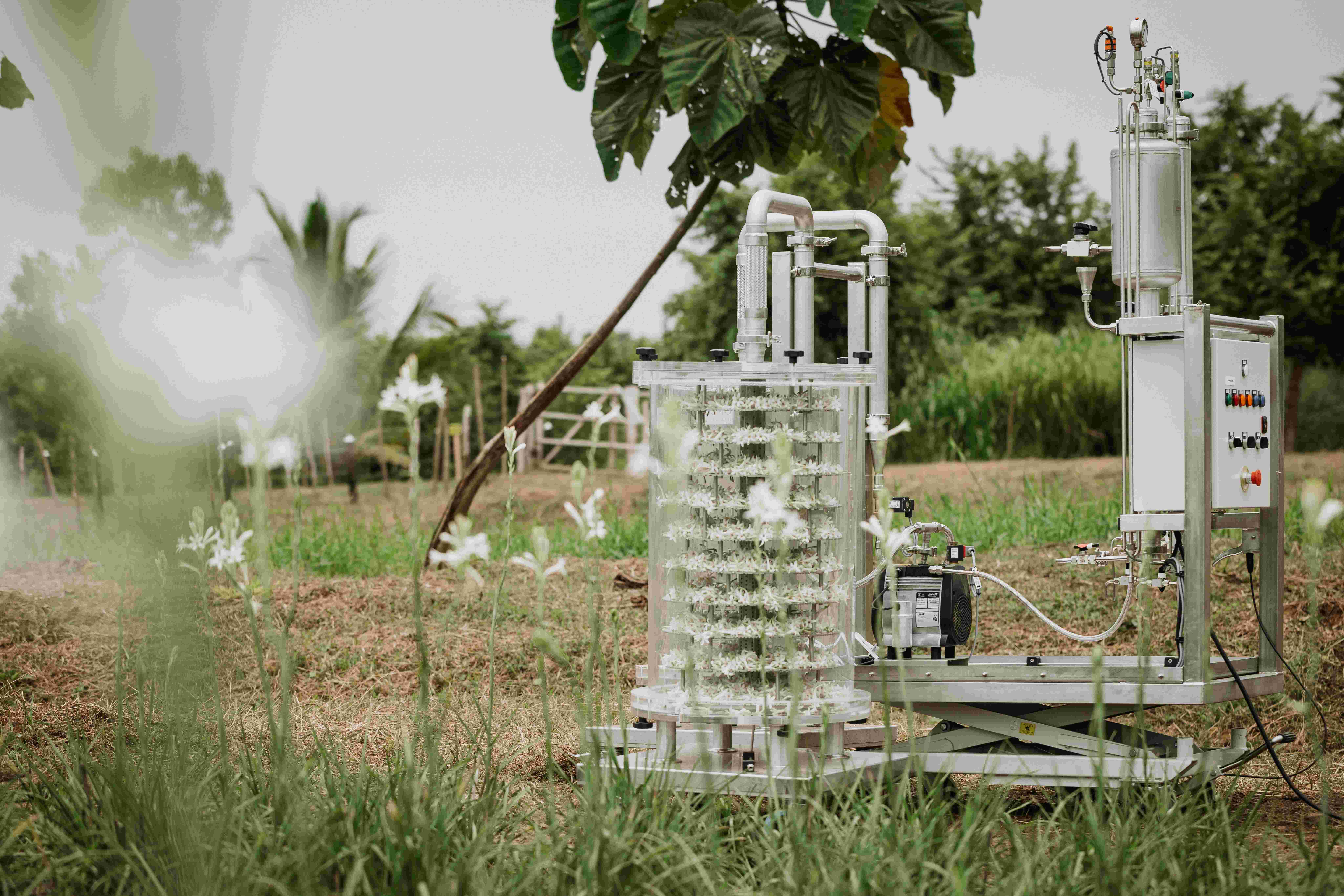 LOREAL GROUP OSMOBLOOM