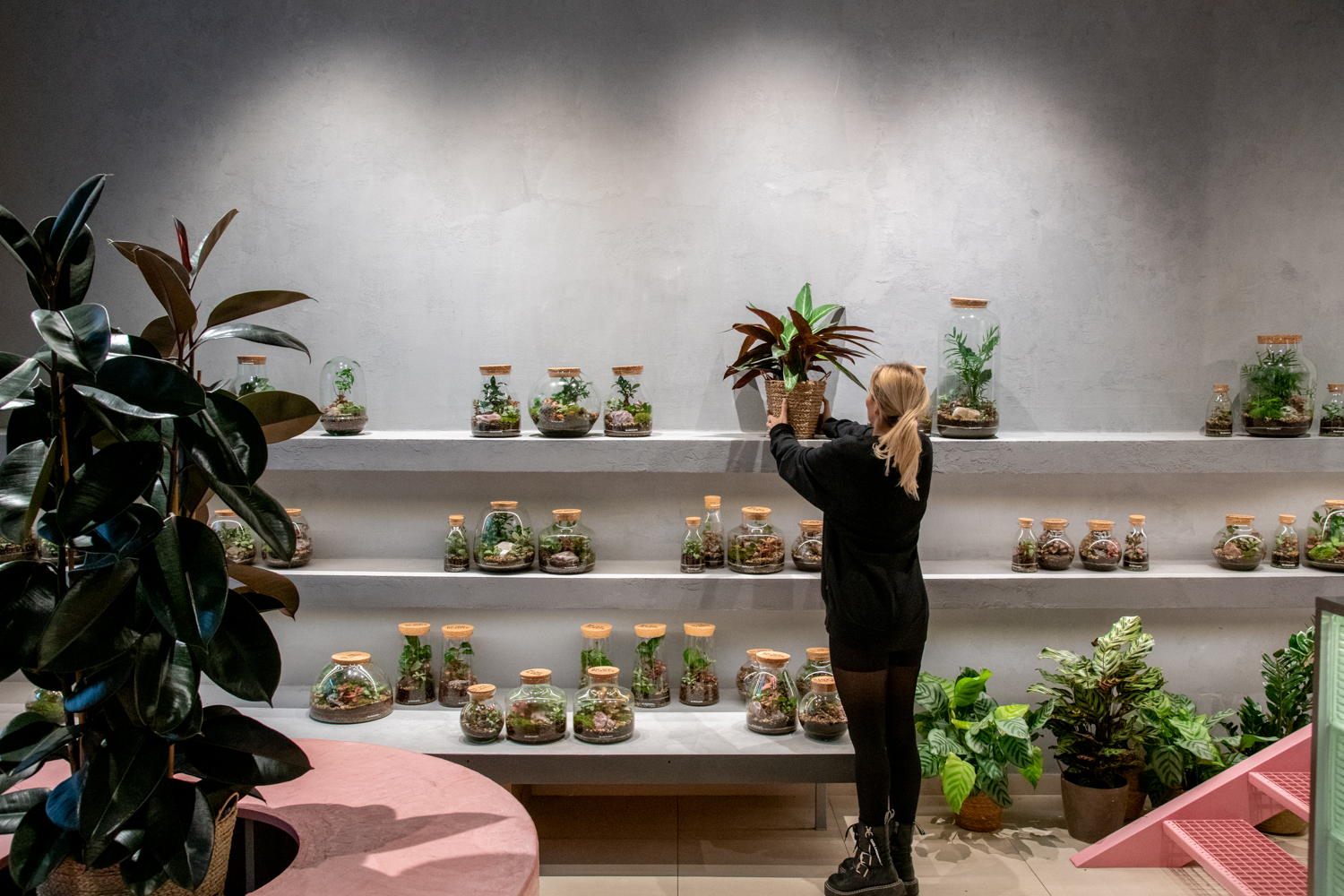 BILJKE.PLANTS BY 9HZ5