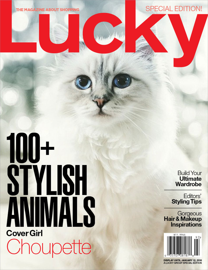choupette-lagerfeld-lucky-cover-2015