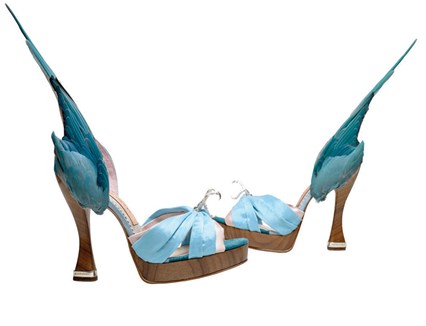 Caroline Groves Parakeet shoes 2014. cr