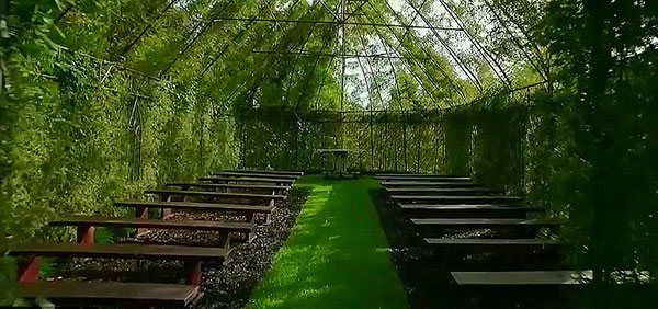 tree-church-10