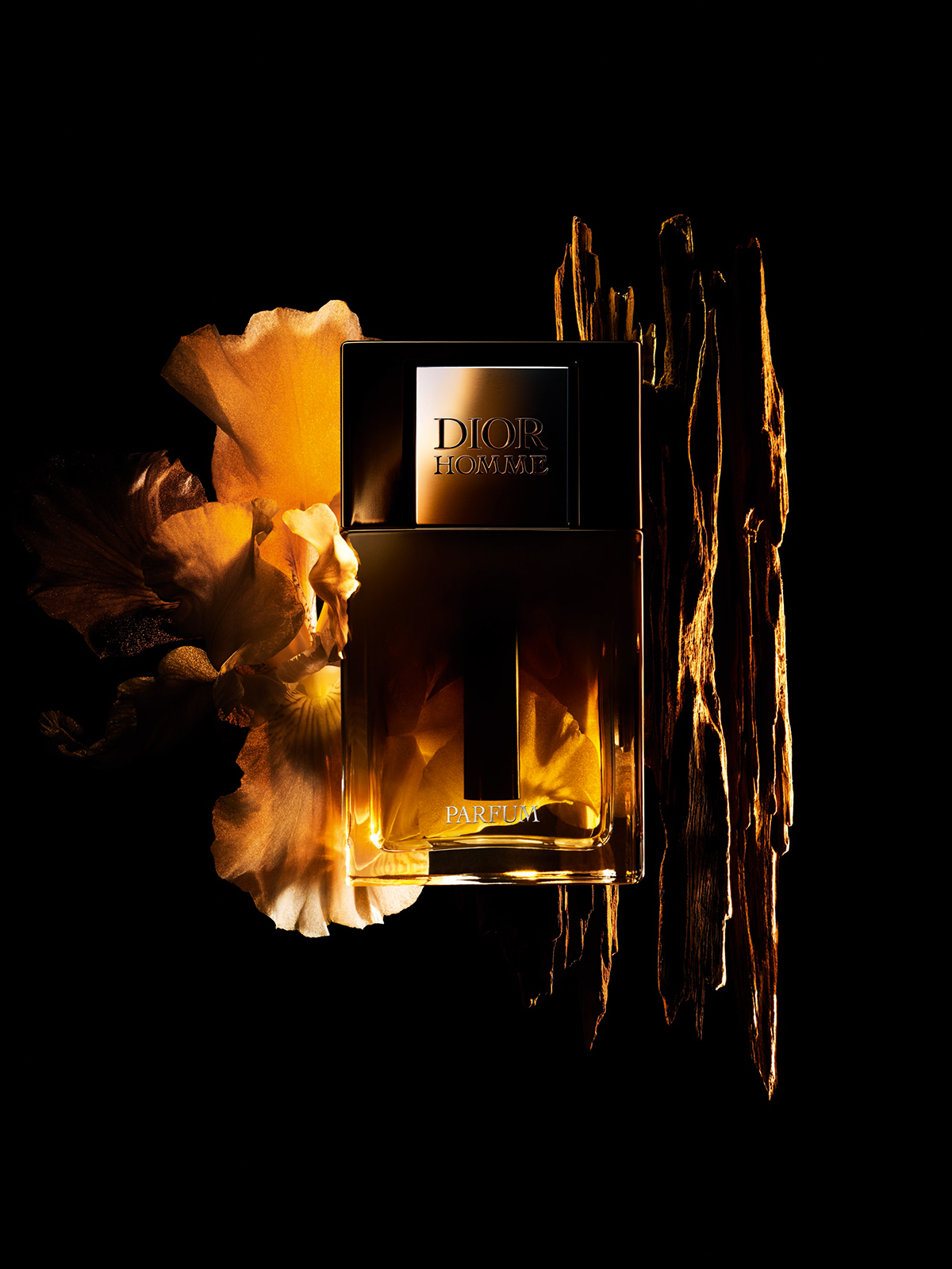 dior homme F39