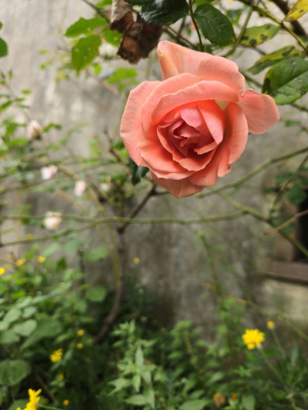 diletta davolio 275rIF50XQU unsplash