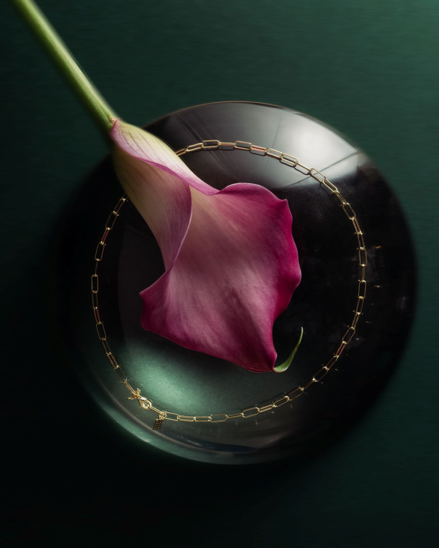 Mari Mari Capsule Selection Vana Katančić12 1