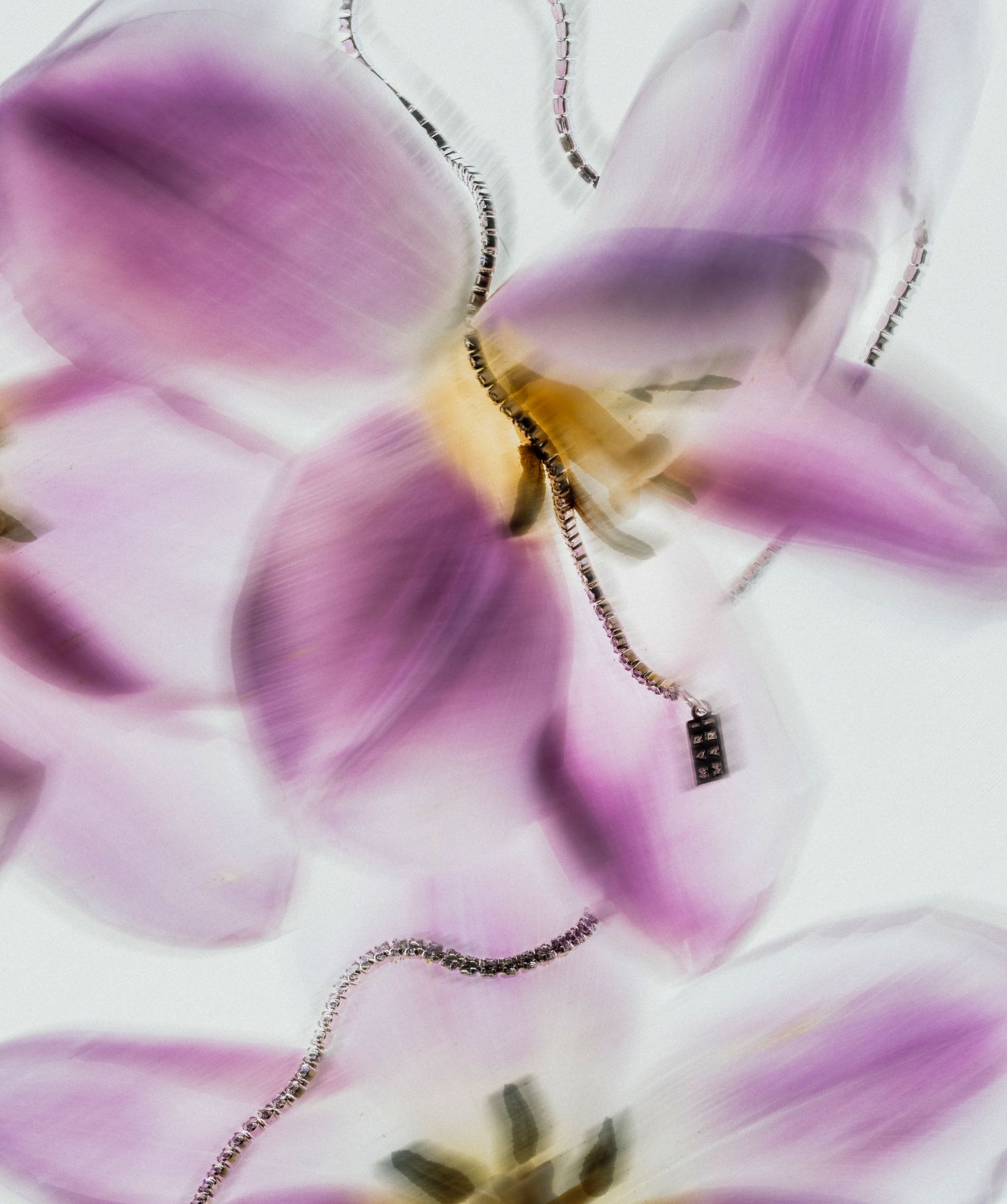 Mari Mari Capsule Selection Vana Katančić2