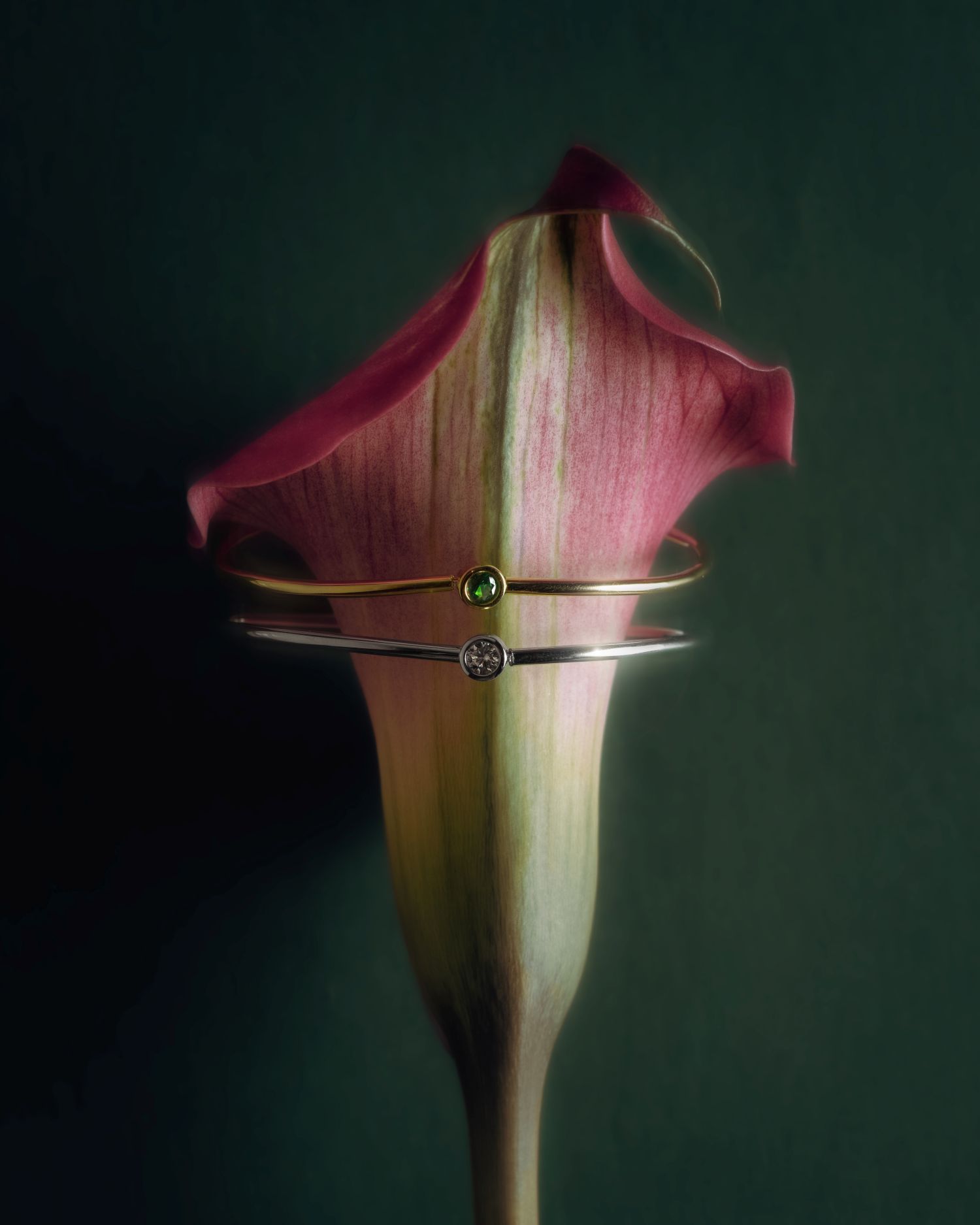 Mari Mari Capsule Selection Vana Katančić5