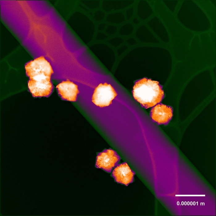 Izlozba molekule Zlatne nanocestice na bakrenoj niti