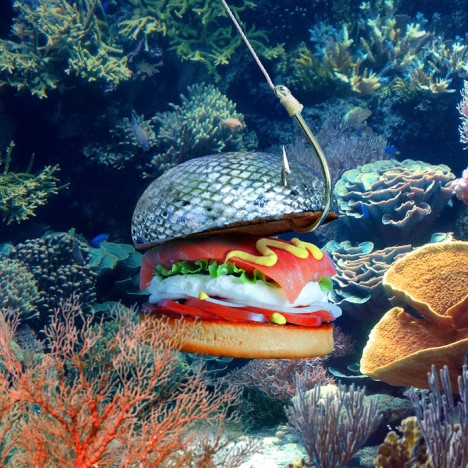 fish-burger-468x468