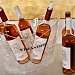 VISLANDER Degustacija Ljetna vina Bon Apetit 19.05 24