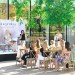 ALQVIMIA Soul & Beauty Day # okupio stručnjake i zaljubljenike u holistički wellbeing u povodu drugog rođendana zagrebačkog ALQVIMIA Store & Spa Alqvimia 6 RG 15 copy