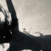 Isijavanje - DARIJA JELINČIĆ @ GALERIJA KRANJČAR # Fotografije koje čuvaju iskustvo mora, ljepote i sjećanja i77